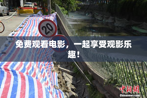 免费观看电影，一起享受观影乐趣！