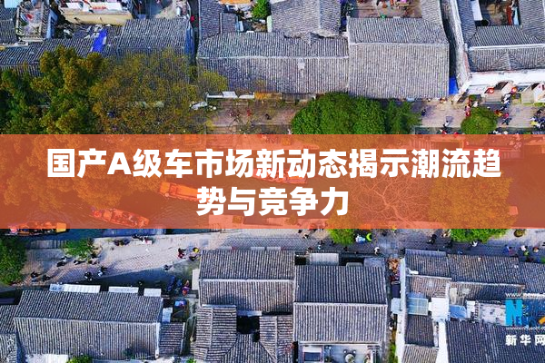 国产A级车市场新动态揭示潮流趋势与竞争力