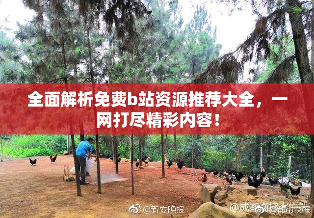 全面解析免费b站资源推荐大全，一网打尽精彩内容！