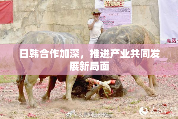 日韩合作加深，推进产业共同发展新局面