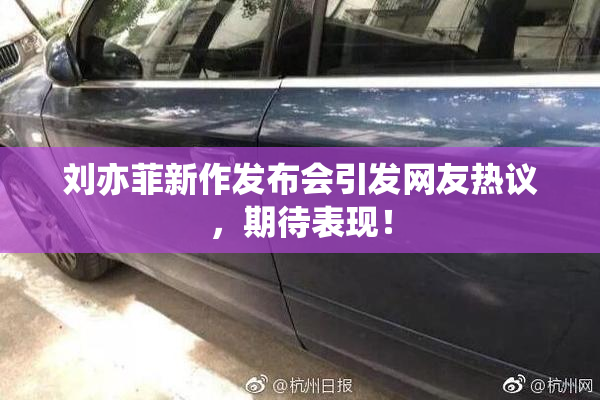 刘亦菲新作发布会引发网友热议，期待表现！