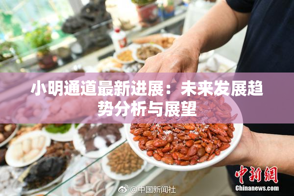 小明通道最新进展：未来发展趋势分析与展望