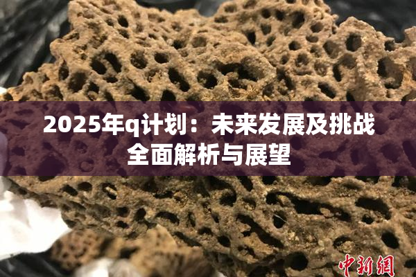 2025年q计划：未来发展及挑战全面解析与展望