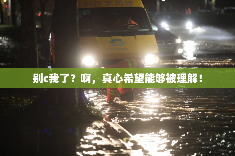别c我了？啊，真心希望能够被理解！