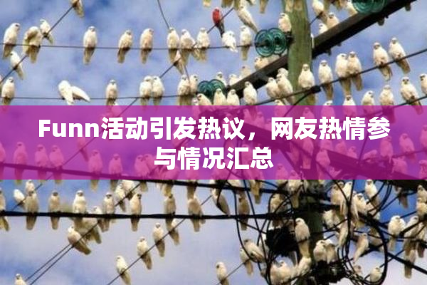Funn活动引发热议，网友热情参与情况汇总