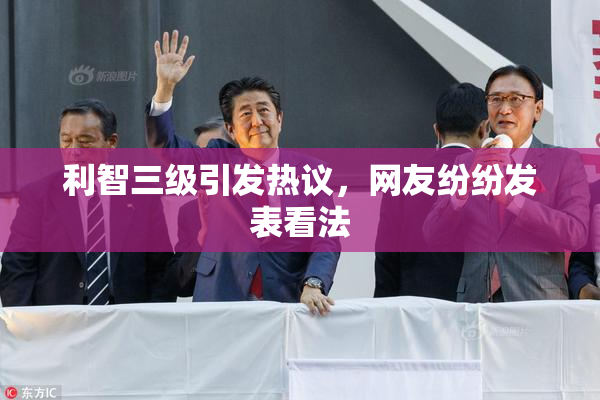 利智三级引发热议，网友纷纷发表看法