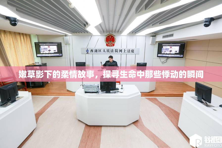 嫩草影下的柔情故事，探寻生命中那些悸动的瞬间