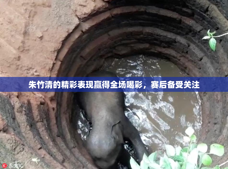 朱竹清的精彩表现赢得全场喝彩，赛后备受关注