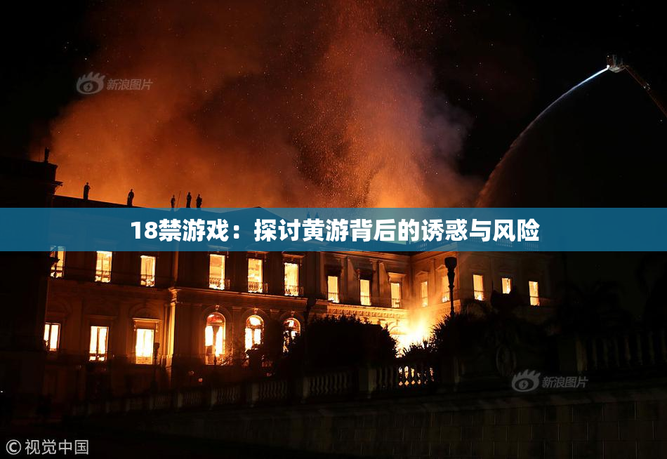18禁游戏：探讨黄游背后的诱惑与风险