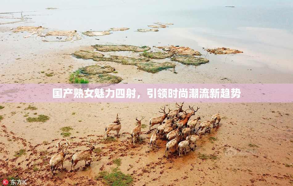 国产熟女魅力四射，引领时尚潮流新趋势
