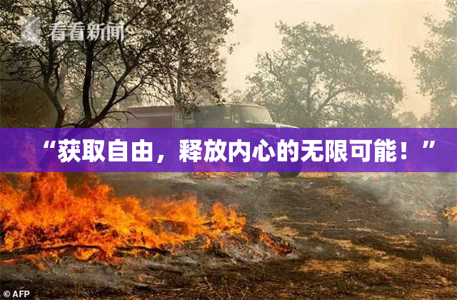 “获取自由，释放内心的无限可能！”