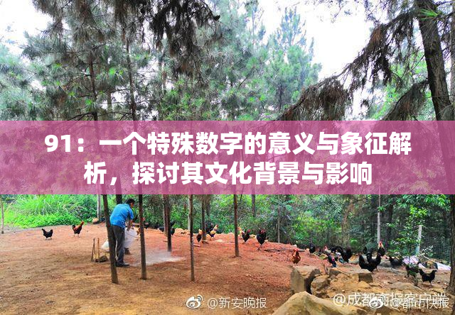 91：一个特殊数字的意义与象征解析，探讨其文化背景与影响