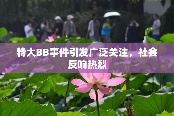 特大BB事件引发广泛关注，社会反响热烈