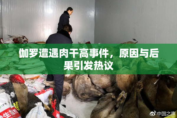 伽罗遭遇肉干高事件，原因与后果引发热议