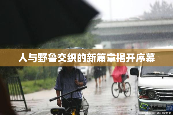 人与野鲁交织的新篇章揭开序幕