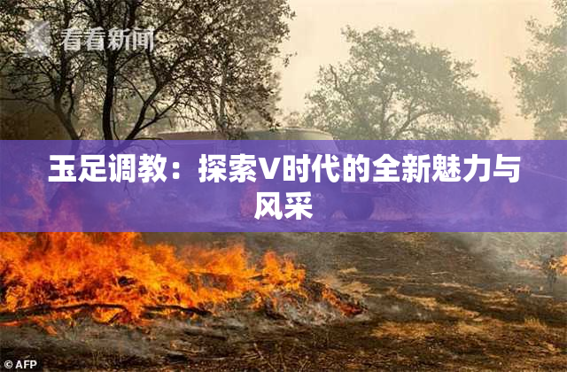 玉足调教：探索V时代的全新魅力与风采