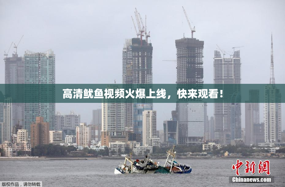 高清鱿鱼视频火爆上线，快来观看！