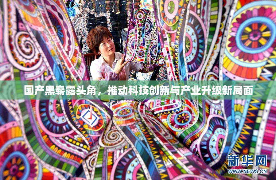 国产黑崭露头角，推动科技创新与产业升级新局面