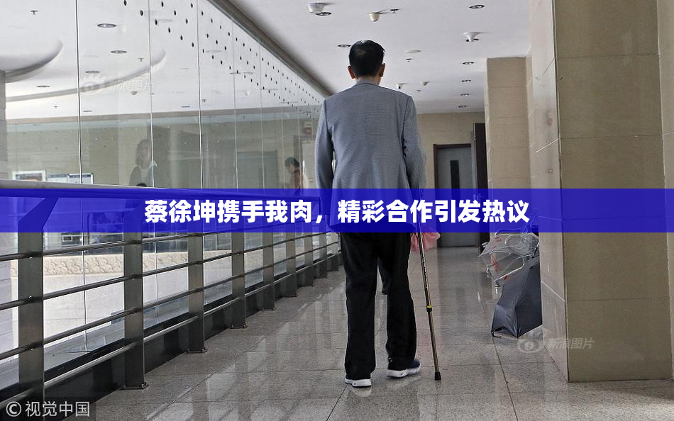 蔡徐坤携手我肉，精彩合作引发热议
