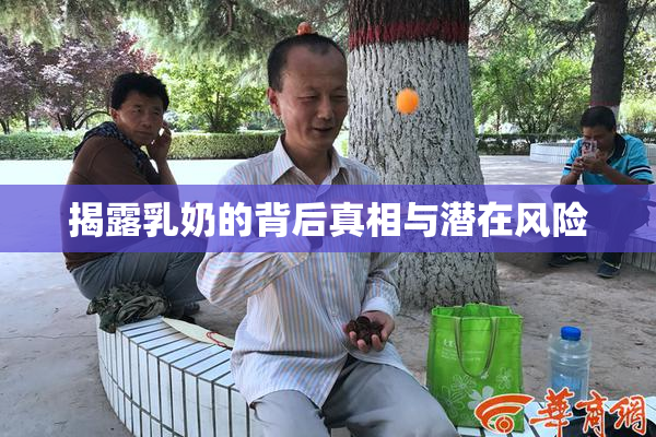 揭露乳奶的背后真相与潜在风险