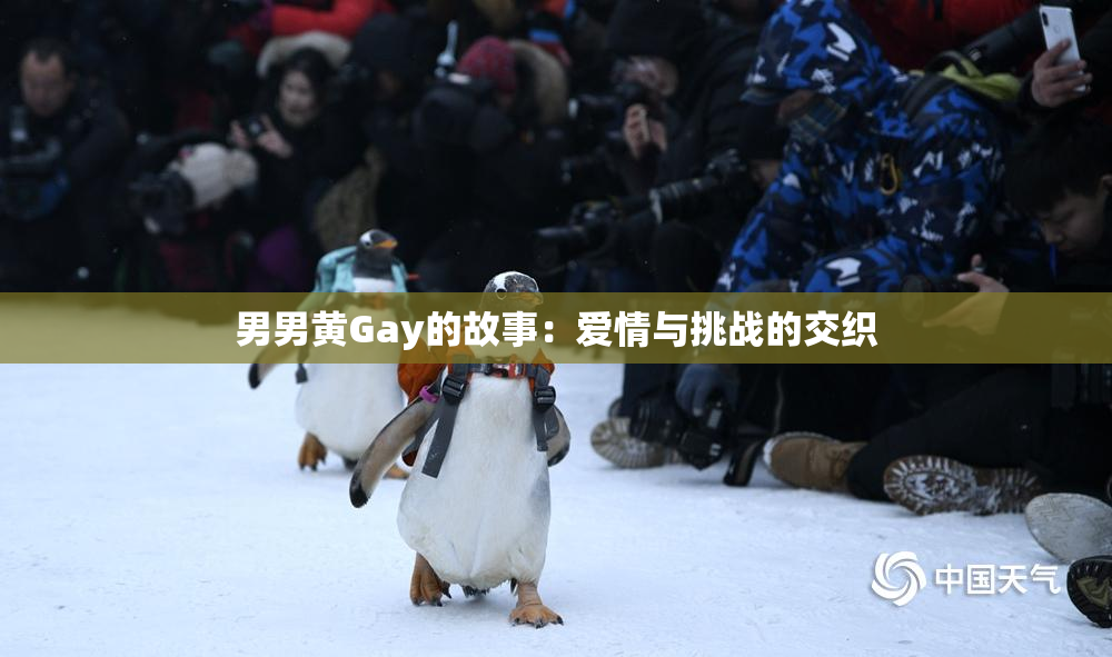 男男黄Gay的故事：爱情与挑战的交织