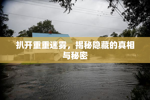 扒开重重迷雾，揭秘隐藏的真相与秘密