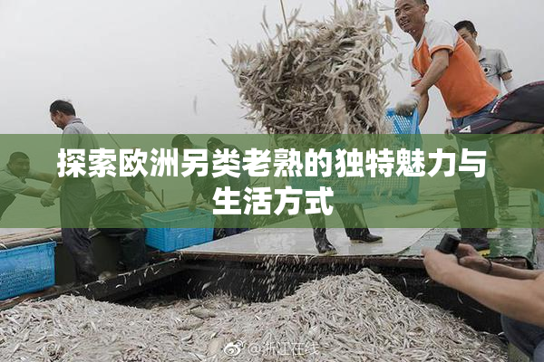探索欧洲另类老熟的独特魅力与生活方式