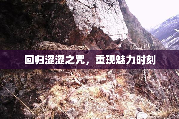 回归涩涩之咒，重现魅力时刻