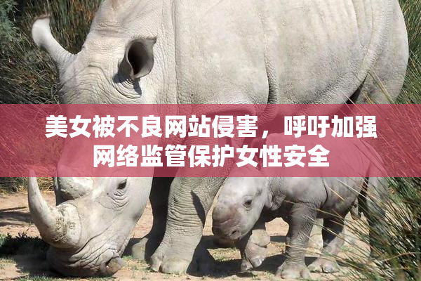 美女被不良网站侵害，呼吁加强网络监管保护女性安全