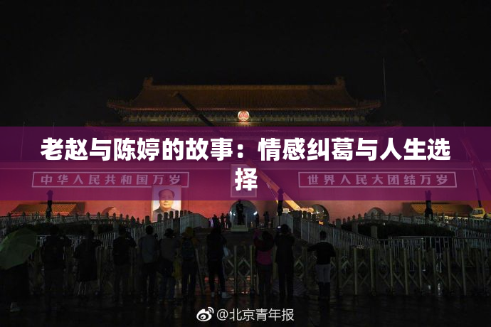老赵与陈婷的故事：情感纠葛与人生选择