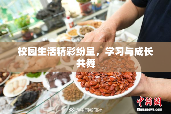 校园生活精彩纷呈，学习与成长共舞