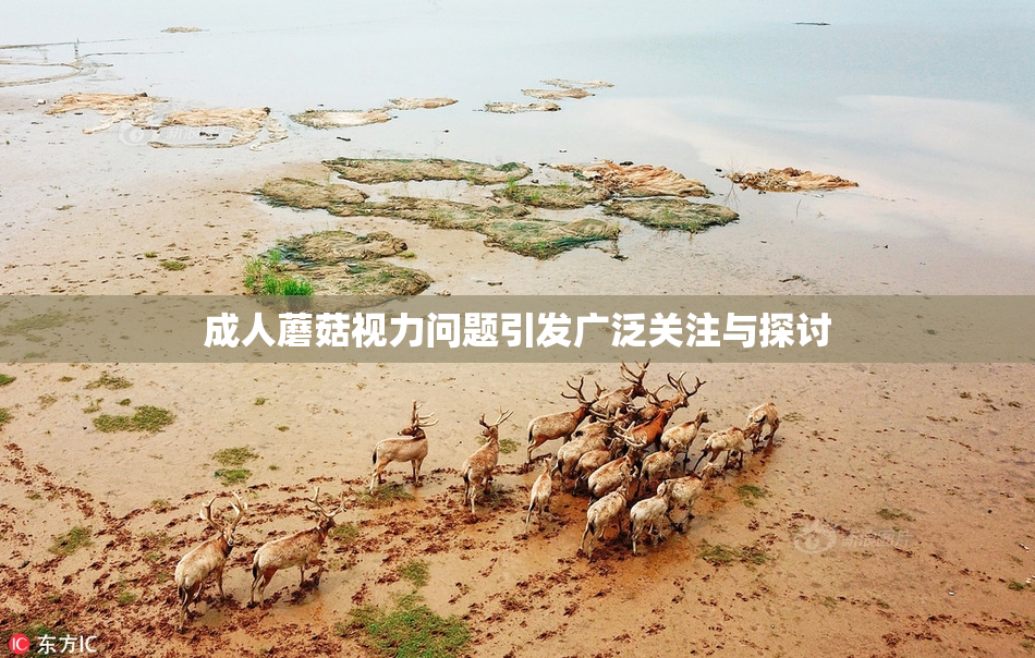 成人蘑菇视力问题引发广泛关注与探讨