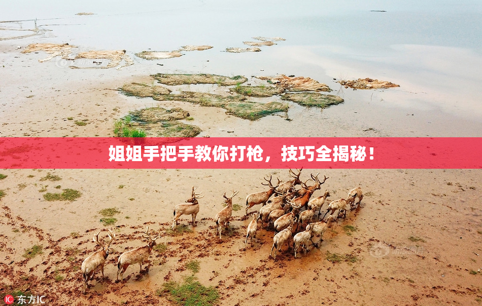 姐姐手把手教你打枪，技巧全揭秘！