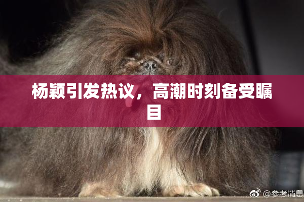 杨颖引发热议，高潮时刻备受瞩目