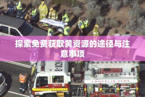 探索免费获取黄资源的途径与注意事项