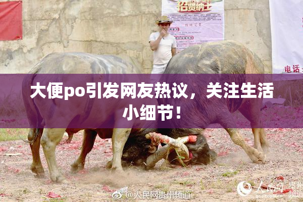 大便po引发网友热议，关注生活小细节！