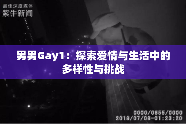 男男Gay1：探索爱情与生活中的多样性与挑战