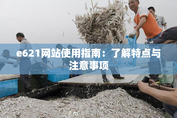 e621网站使用指南：了解特点与注意事项