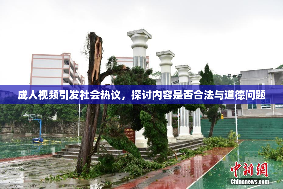 成人视频引发社会热议，探讨内容是否合法与道德问题