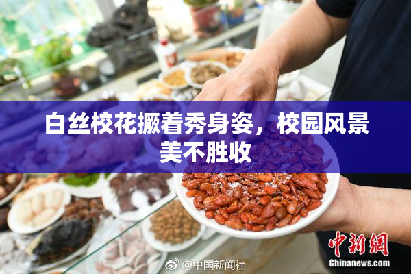 白丝校花撅着秀身姿，校园风景美不胜收