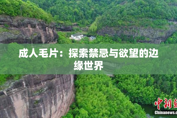 成人毛片：探索禁忌与欲望的边缘世界