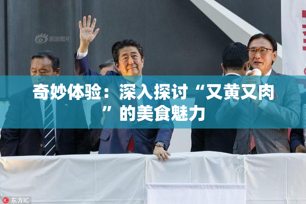 奇妙体验：深入探讨“又黄又肉”的美食魅力