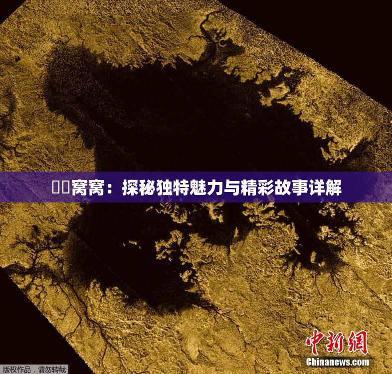 妺妺窝窝：探秘独特魅力与精彩故事详解