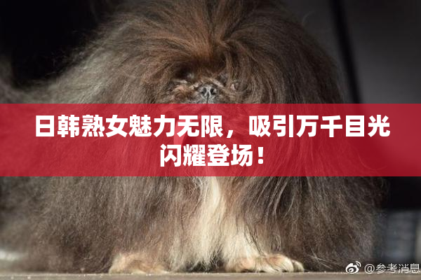 日韩熟女魅力无限，吸引万千目光闪耀登场！