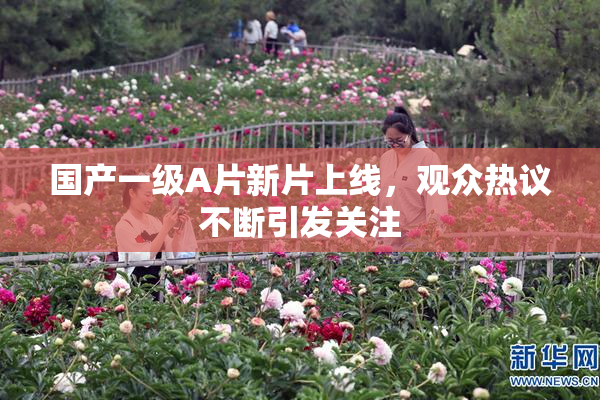 国产一级A片新片上线，观众热议不断引发关注
