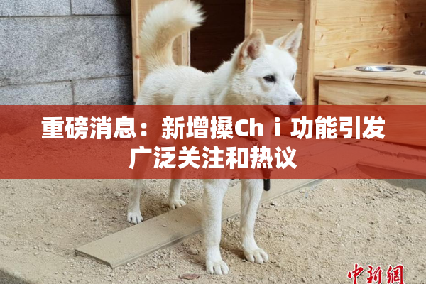 重磅消息：新增搡Chⅰ功能引发广泛关注和热议