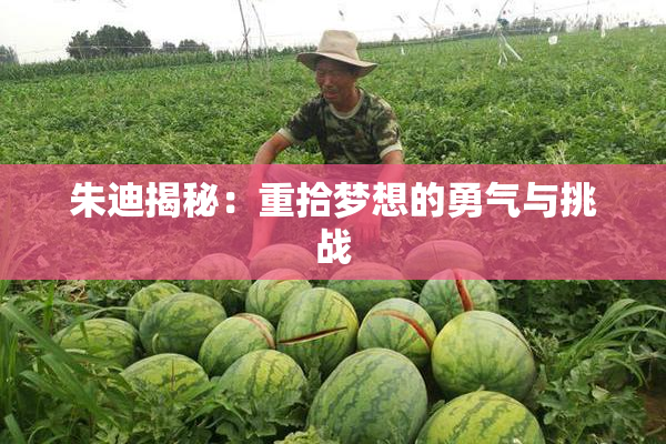 朱迪揭秘：重拾梦想的勇气与挑战