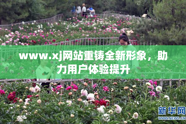 www.xj网站重铸全新形象，助力用户体验提升