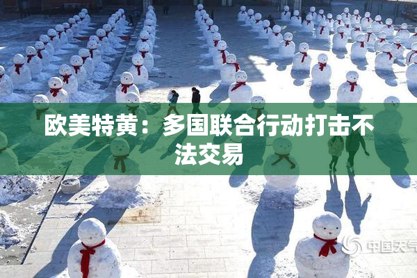 欧美特黄：多国联合行动打击不法交易