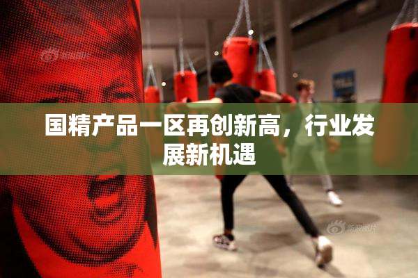 国精产品一区再创新高，行业发展新机遇
